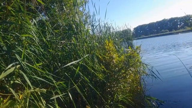 Рыбалка- это спорт.