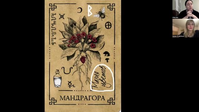 Мандрагора - значение карты (Часть 1) | Викканский оракул теней | Подробный курс