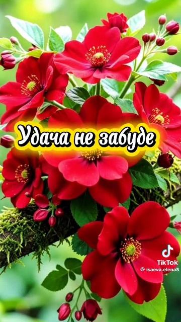Пусть вам улыбается удача!! 😀😃😃
