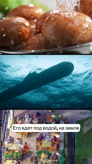 Самый популярный гриб 🍄🟫 в мире