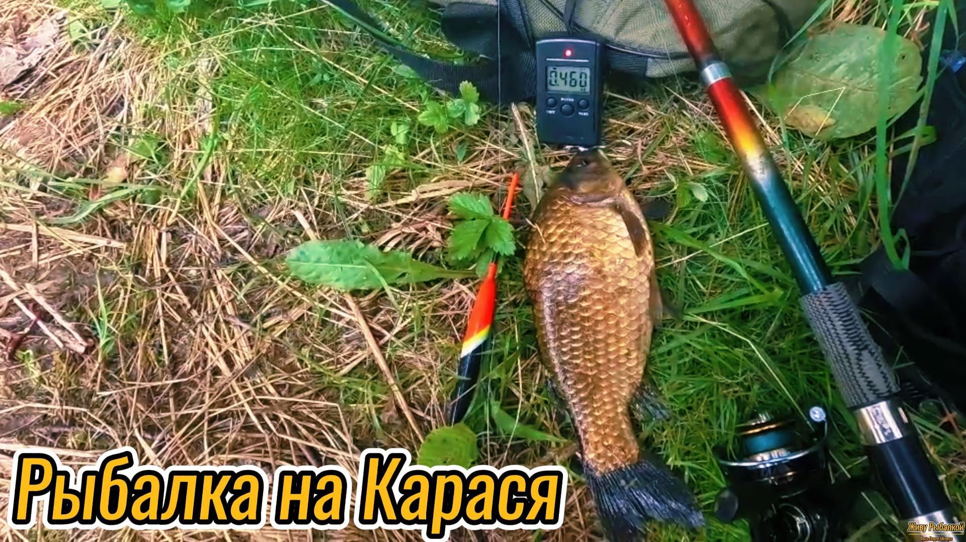 РЫБАЛКА НА КАРАСЯ ВЫЕХАЛ ГДЕ Я БЫВАЛ ВСЕ ГОДЫ ЛЕТОМ  НА ЛЕСНОЙ КАРЬЕР В ЭТОМ ВОДОЁМЕ ЖИВУТ И ПЕСКАРИ