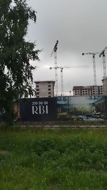 гуляю с собакой