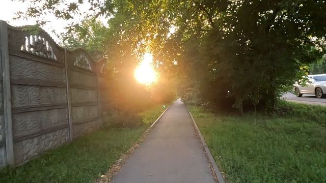 вечерняя прогулка 17