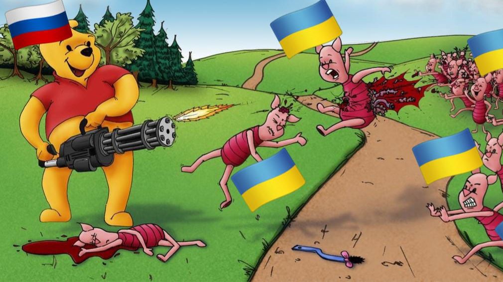 16 секунд для настроения 🐻💥🐷