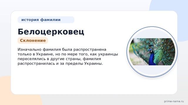 Фамилия Белоцерковец: происхождение, значение и склонение
