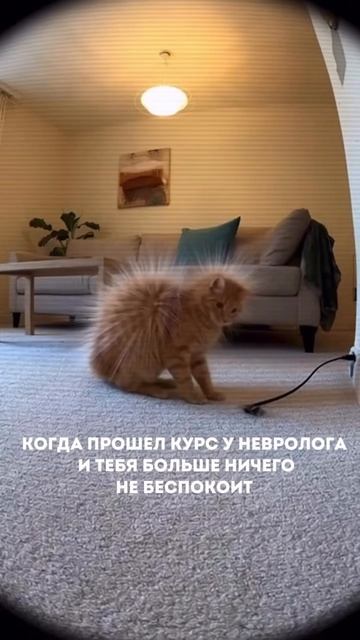 Монтаж для СОВА