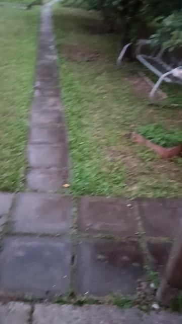 VID_20260721_204850