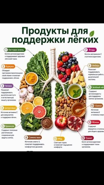 Продукты для поддержания лёгких.