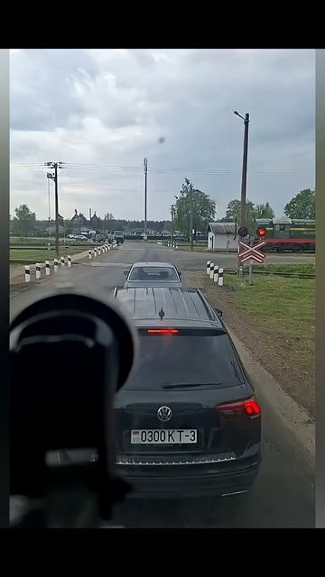 Высокоскоростной поезд!🐌😂