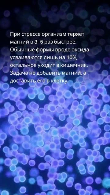 Магний хелат для нервной системы: чем отличается и когда подходит