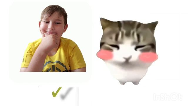 котика и хз