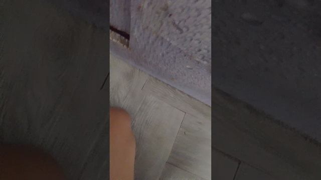 2698.mp4