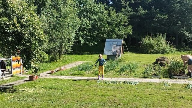 Помощник😄🎉🥰Убрали лук.