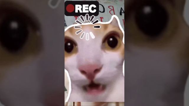ОЧЕНЬ МНОГО ИНФОРМАЦИИ! И ЕЩЁ СЛЕДУЕЩИЕ ВИДЕО ВЕЧЕРОМ!