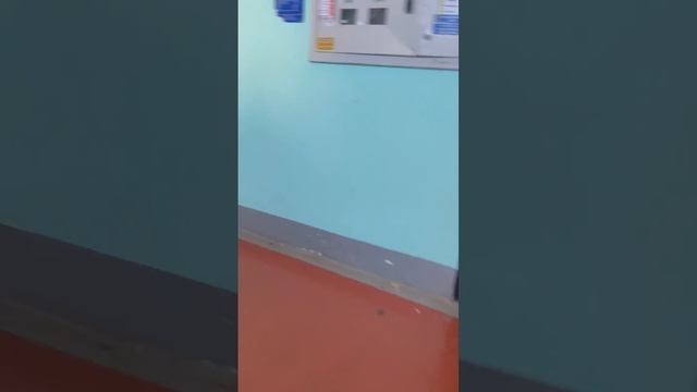 18885509122783
