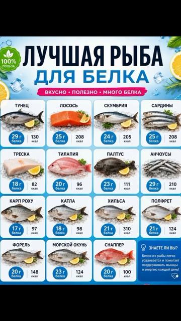 Лучшая рыба для белка.