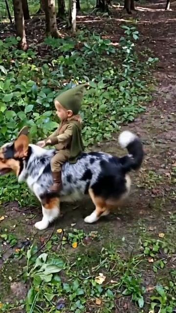 Шелдон - Эльфийский конь