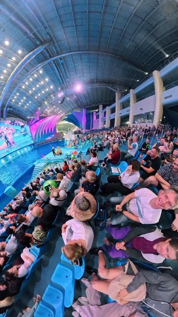 Владивосток, дельфинарий на острове Русский, морж Миша
