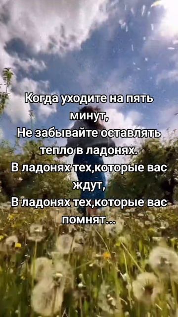Цитаты