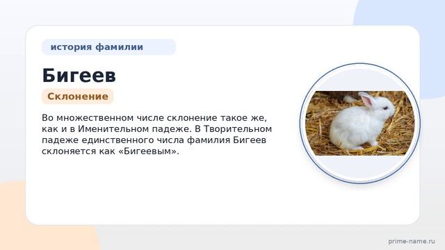 Фамилия Бигеев: происхождение, значение и склонение