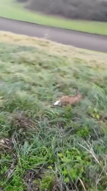 Промазал с 5 метров.