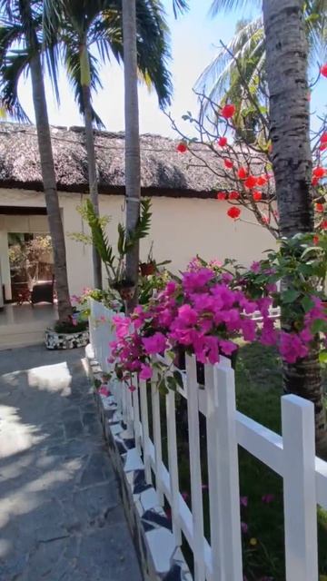 video_2026-07-22_16-00-45