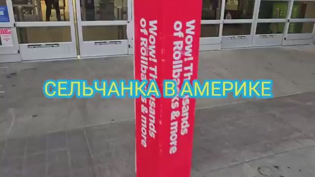 Сельчанка в Америке СРЕДИ НОЧИ ЕДУ СРОЧНО В МАГАЗИН