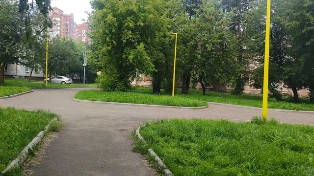Новая заря