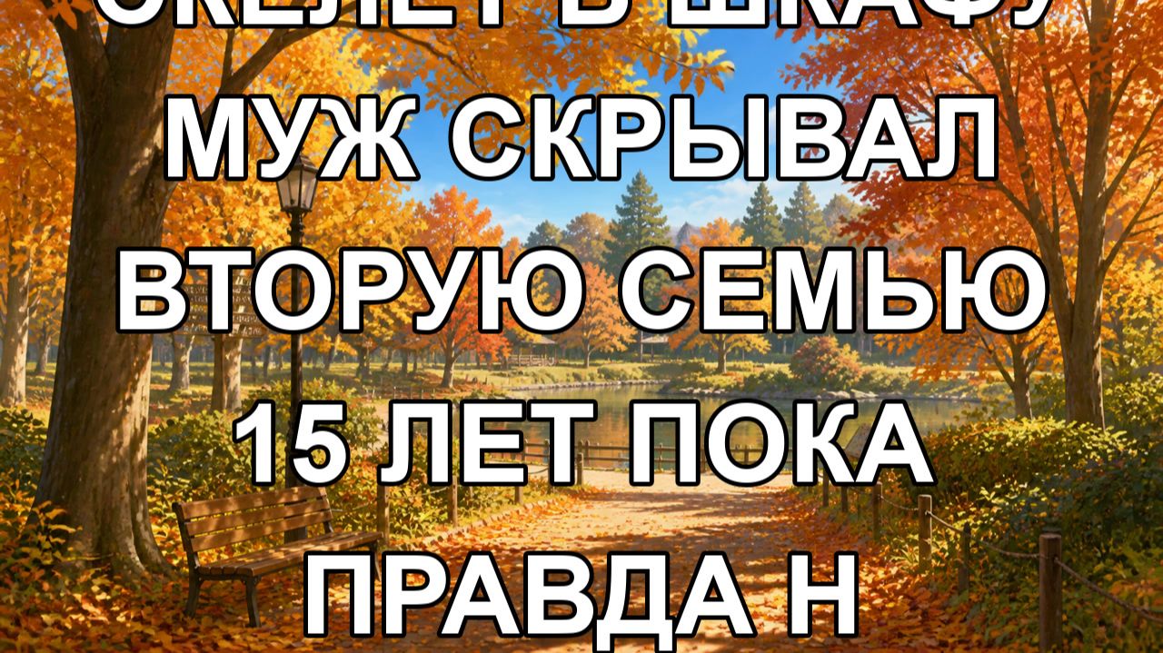 скелет в шкафу муж скрывал вторую семью 15 лет пока правда н