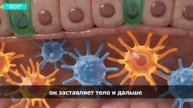 12–72  ЧАСА БЕЗ ЕДЫ! Что реально происходит внутри вас (по часам)