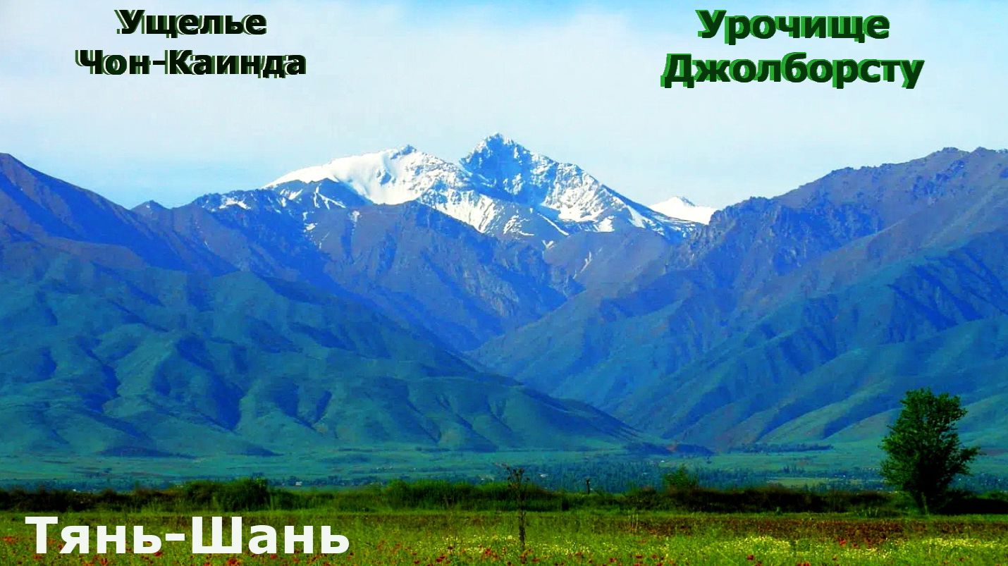 Ущелье Чон-Каинда, урочище Джолборсту