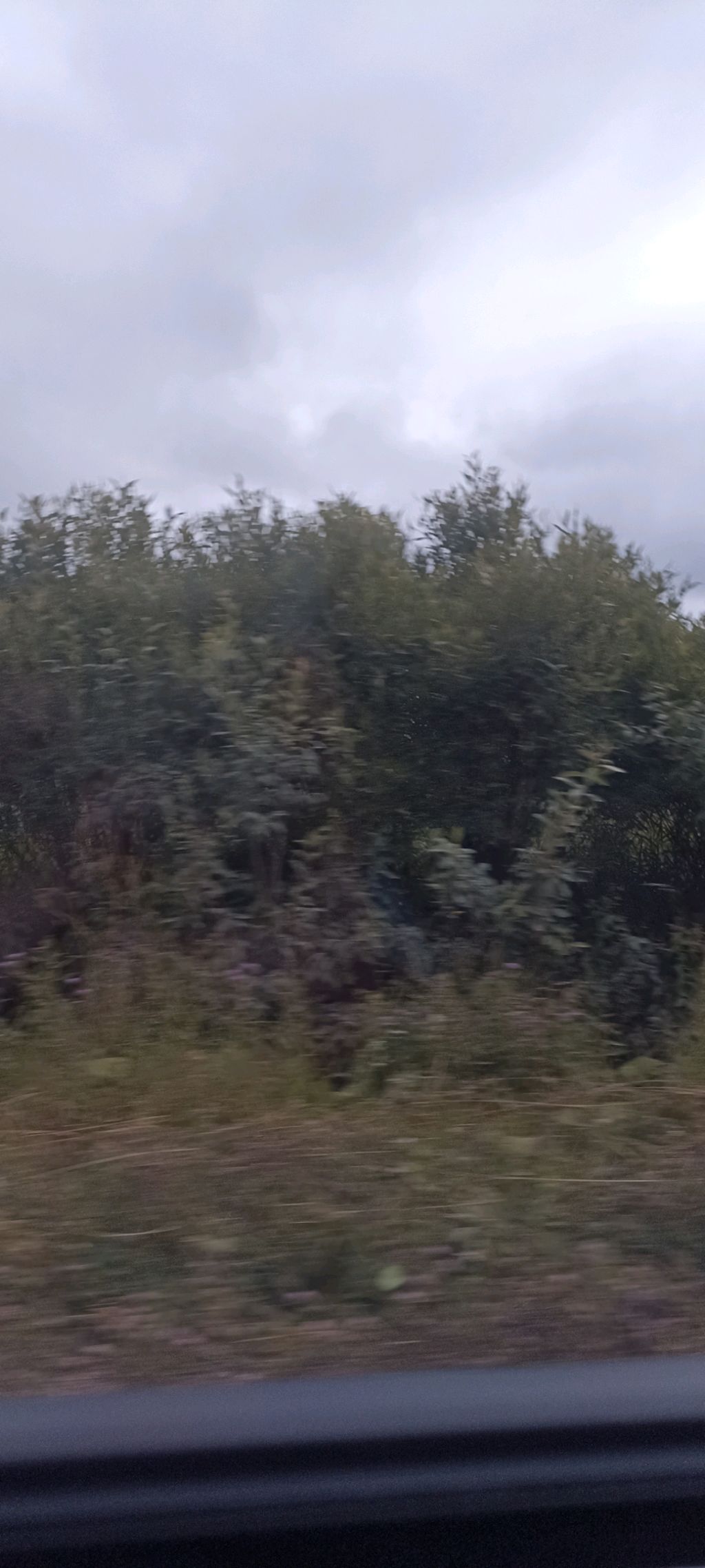 Приехали