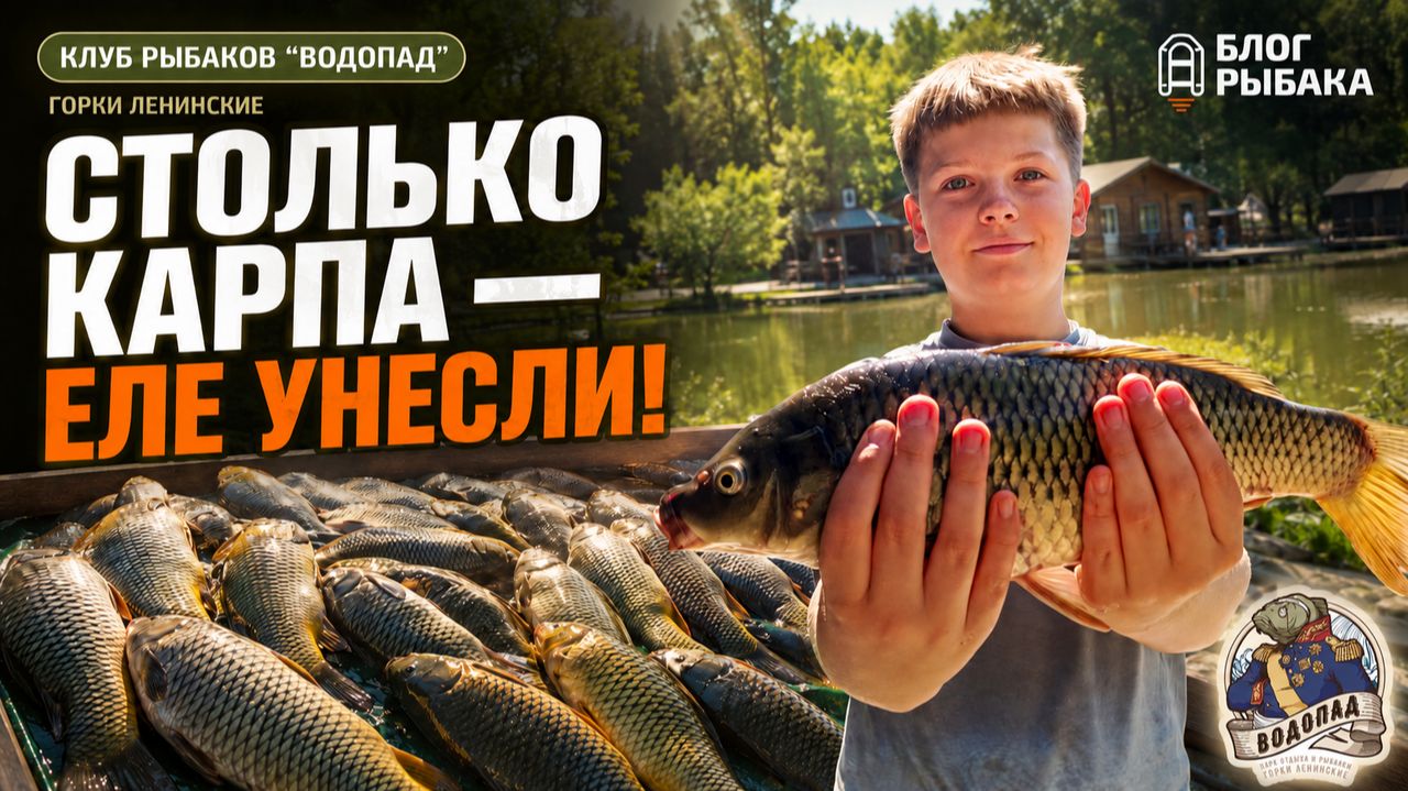 СТОЛЬКО КАРПА - ЕЛЕ УНЕСЛИ. РЫБАЛКА НА КАРПА. РК 