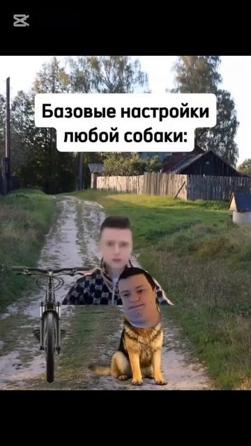 Базовые настройки собаки 🐶