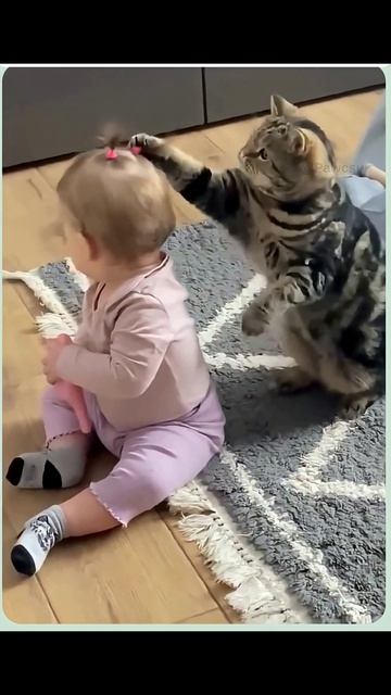 Любитель кисточек🐱 🤫