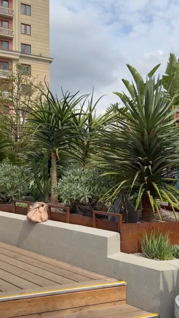 Оазис 🌴 рядом с Красной площадью