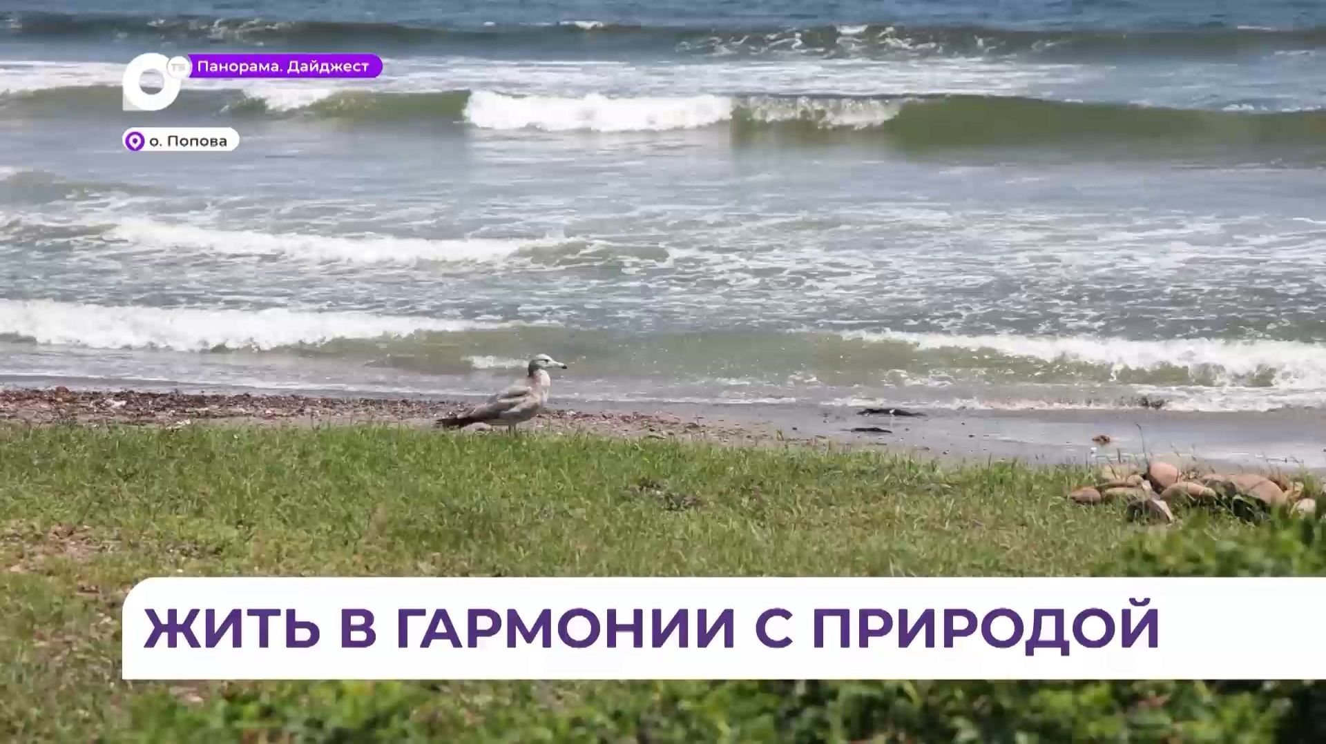 Конкурс «Живая тайга» отобрал лучшие работы на экологическую тематику со всего ДВ