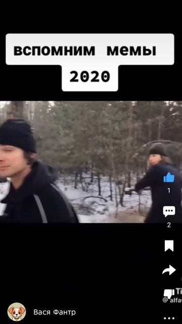 нухай бебру