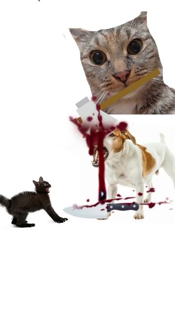 Спасение кота