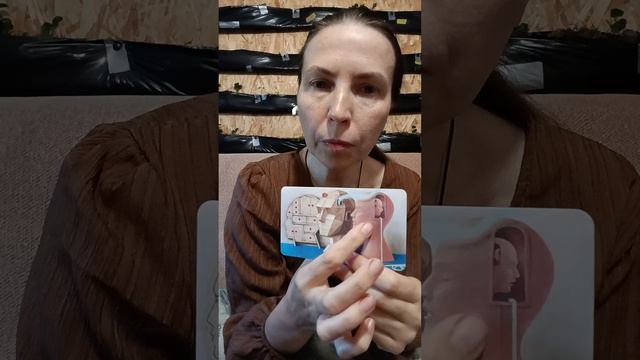 Притче-терапия. Сбегающая голова. Православный психолог Ольга Качан