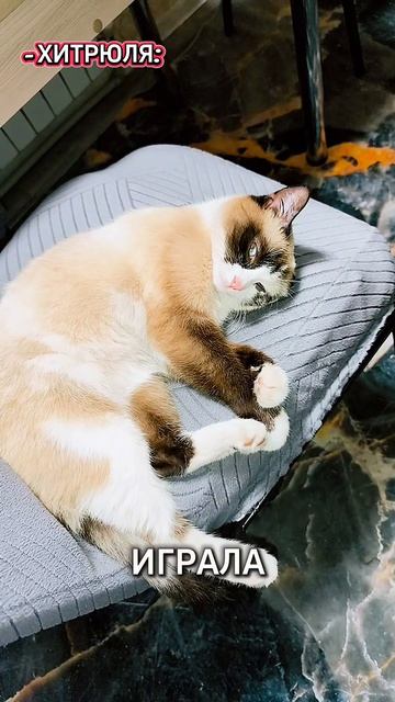 😻😻😻😻😻😻😻😻😻😻