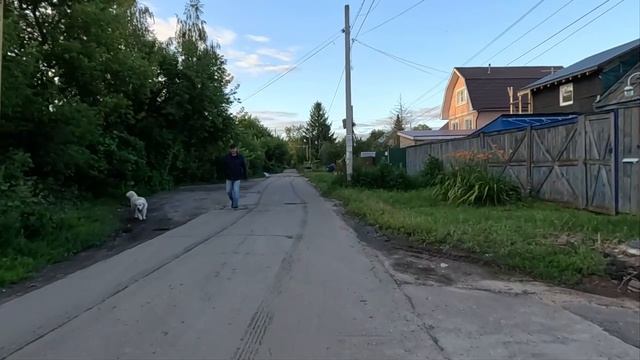 вечерняя прогулка 50