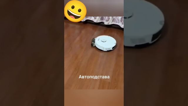 подборка котиков