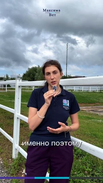 После болезни лошади — только ступенчатая нагрузка!