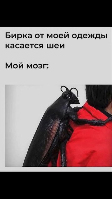 Мой прогресс за 6 лет) Приколы