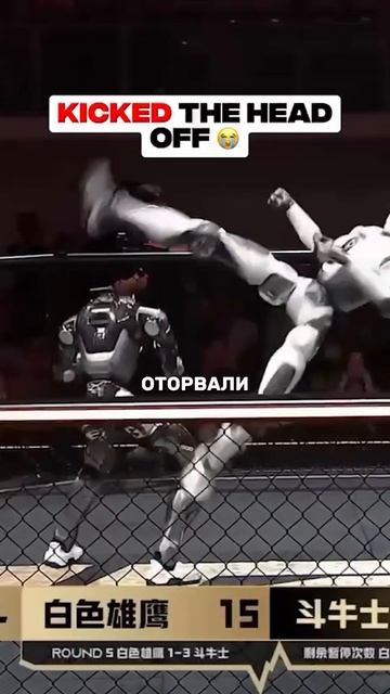 В Китае прошел турнир по боям человекоподобных роботов #роботы #китай