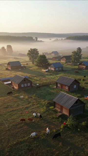 Утро в русской деревне: эстетика и полный релакс 🌾 #деревня