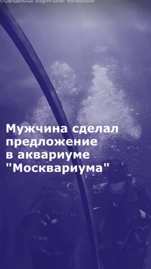 Мужчина сделал предложение в аквариуме 