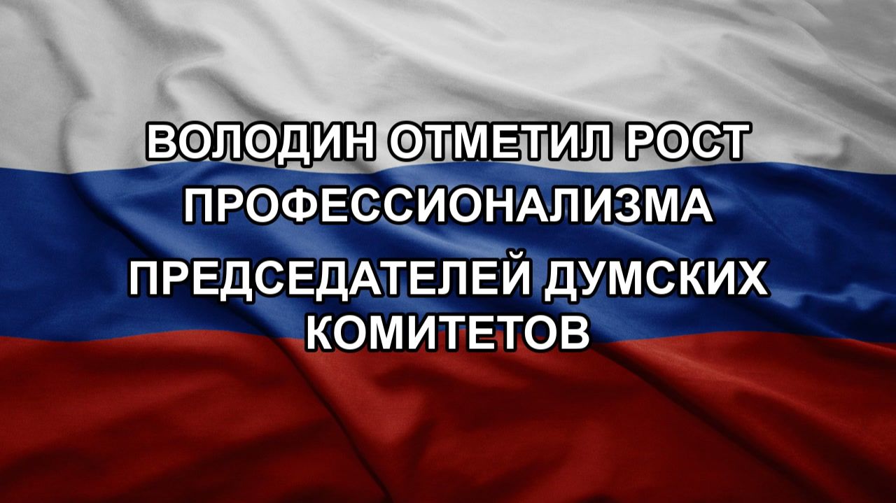 Володин отметил рост профессионализма председателей думских комитетов
