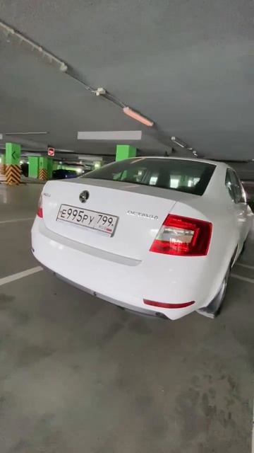 1000389851.mp4